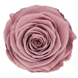 B Grade 4-5cm Preserved Roses Preserved Flower Fresh Natural Real Eternal Rose Immortal Rose Flowers Florist DIY Floral Material