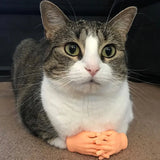 Silicone Cat Massage Gloves – Interactive Finger Toys for Cat Bonding & Play
