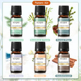 Premium Pure Essential Oil Combo Set for Aromatherapy & Air Purification