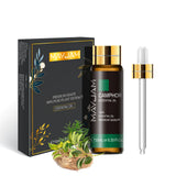 Pure Aromatherapy Essential Oil for Diffusers and Natural Wellness