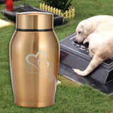 Stainless Steel Pet Cremation Urn for Dogs & Cats – Memorial Keepsake Container