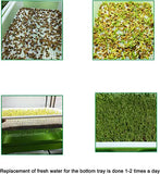 Seed Germination Tray – Soilless Sprouting Kit for Wheatgrass, Beans & Microgreens