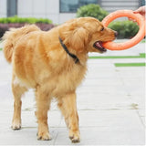Durable Dog Flying Disc – EVA Training Ring Toy for Outdoor Play & Dental Health