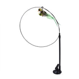 Interactive Feather Cat Toy with Suction Cup and Bell