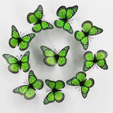 3D Monarch Butterfly Wall Stickers – Realistic PVC Window & Wall Decor for Home, Party & Gifts