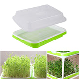 Seed Germination Tray – Soilless Sprouting Kit for Wheatgrass, Beans & Microgreens