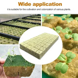 50pc Sponge Block Starter Plugs - Hydroponic Grow Cubes for Seed Starting & Plant Propagation