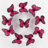 3D Monarch Butterfly Wall Stickers – Realistic PVC Window & Wall Decor for Home, Party & Gifts