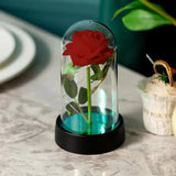 Eternal Silk Rose in Glass Dome with LED Light – Romantic Valentine’s Day Gift & Home Decor