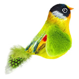 Interactive Feather Bird Cat Toy with Realistic Sounds