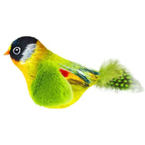 Interactive Feather Bird Cat Toy with Realistic Sounds