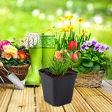 50-Pack Square Seedling Pots - Reusable Deep Nursery Planters for Indoor/Outdoor Gardening