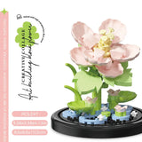 Juego de bloques de construcción con rosas y suculentas en macetas: decoración del hogar con flores eternas
