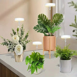 Full Spectrum LED Grow Light with Adjustable Brightness & Timer for Indoor Plants