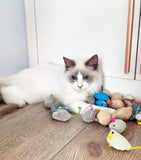 200pcs Catnip-Infused Mouse Toys - Faux Fur & Feather Interactive Cat Toys