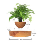 Magnetic Levitating Flower Pot - Floating Bonsai Planter for Home & Office Decor