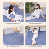220V Double Seat Electric Heating Blanket – Soft Cashmere Flannel, Low Power Consumption, Intelligent Temperature Control