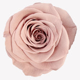 B Grade 4-5cm Preserved Roses Preserved Flower Fresh Natural Real Eternal Rose Immortal Rose Flowers Florist DIY Floral Material