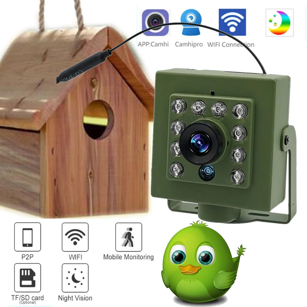 Cámara para observación de aves con WiFi ecológica, HD 1920P, visión nocturna y detección de movimiento para observar aves
