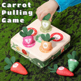 Early Learning Toy for Toddlers with Animal, Nature & Sports Themes