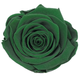 B Grade 4-5cm Preserved Roses Preserved Flower Fresh Natural Real Eternal Rose Immortal Rose Flowers Florist DIY Floral Material
