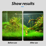 Aquarium Glass Cleaner - Stainless Steel Algae Scraper for Fish Tanks