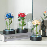 Eternal Red Silk Rose in Glass Dome – Romantic LED Light Gift for Valentine’s & Home Decor