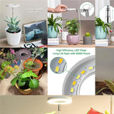 Full Spectrum LED Grow Light with Adjustable Brightness & Timer for Indoor Plants
