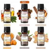 Premium Pure Essential Oil Combo Set for Aromatherapy & Air Purification