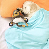 Squeaky Plush Dog Toys – Interactive Chew Toys for Puppies & Small Dogs