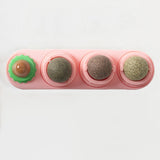 Catnip Chew Toy for Cats – Interactive Stress Relief and Dental Care