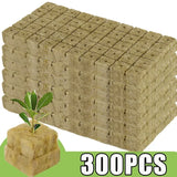 Rockwool Seed Starter Cubes for Hydroponics – Soilless Germination Plugs for Rapid Root Growth