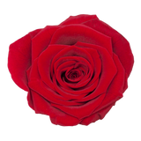 B Grade 4-5cm Preserved Roses Preserved Flower Fresh Natural Real Eternal Rose Immortal Rose Flowers Florist DIY Floral Material