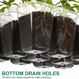 10-Pack Seed Starter Kit with Humidity Dome - 120 Cell Mini Greenhouse for Plants