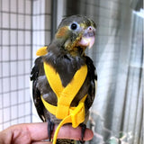 Adjustable Parrot Flying Harness with Leash – Safe & Comfortable Bird Flight Training Gear