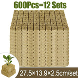 Rockwool Nursery Starter Cubes for Hydroponic Seed Germination – High-Performance Planting Sponges