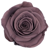B Grade 4-5cm Preserved Roses Preserved Flower Fresh Natural Real Eternal Rose Immortal Rose Flowers Florist DIY Floral Material