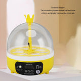 Mini Egg Incubator for Home - Automatic Temperature Control for Chickens & Ducks