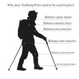 Adjustable Aluminum Trekking Pole with Telescopic Lock – Hiking Stick with Carbon Steel Tip
