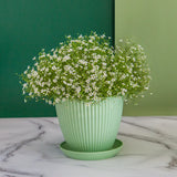 Modern Resin Flower Pot for Indoor Plants and Desk Décor