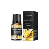 Aceites esenciales de 10 ml para difusores y humidificadores: set de aromaterapia con lavanda, rosa, eucalipto y más