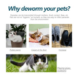 Anti-Flea & Tick Squeeze for Pets – Fast-Acting Mite and Flea Prevention for Cats & Dogs