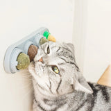 Catnip Chew Toy for Cats – Interactive Stress Relief and Dental Care
