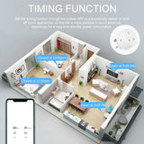 Smart WiFi Plug with Power Monitoring and Voice Control