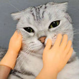 Silicone Cat Massage Gloves – Interactive Finger Toys for Cat Bonding & Play