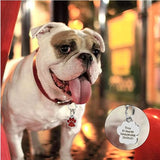 Personalized Stainless Steel Pet ID Tag – Custom Engraved Dog & Cat Nameplate