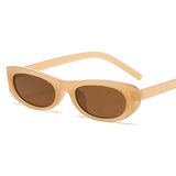 Small Frame Oval Sunglasses for Women – Vintage Designer Mirror Sun Glasses