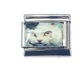 DIY Cartoon Cat Italian Charm Links for Stainless Steel Bracelets – Trendy Modular Jewelry Accessories
