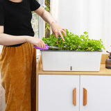 Self-Watering Dual-Layer Indoor Planter Pot with Water Level Indicator