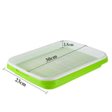 Seed Germination Tray – Soilless Sprouting Kit for Wheatgrass, Beans & Microgreens